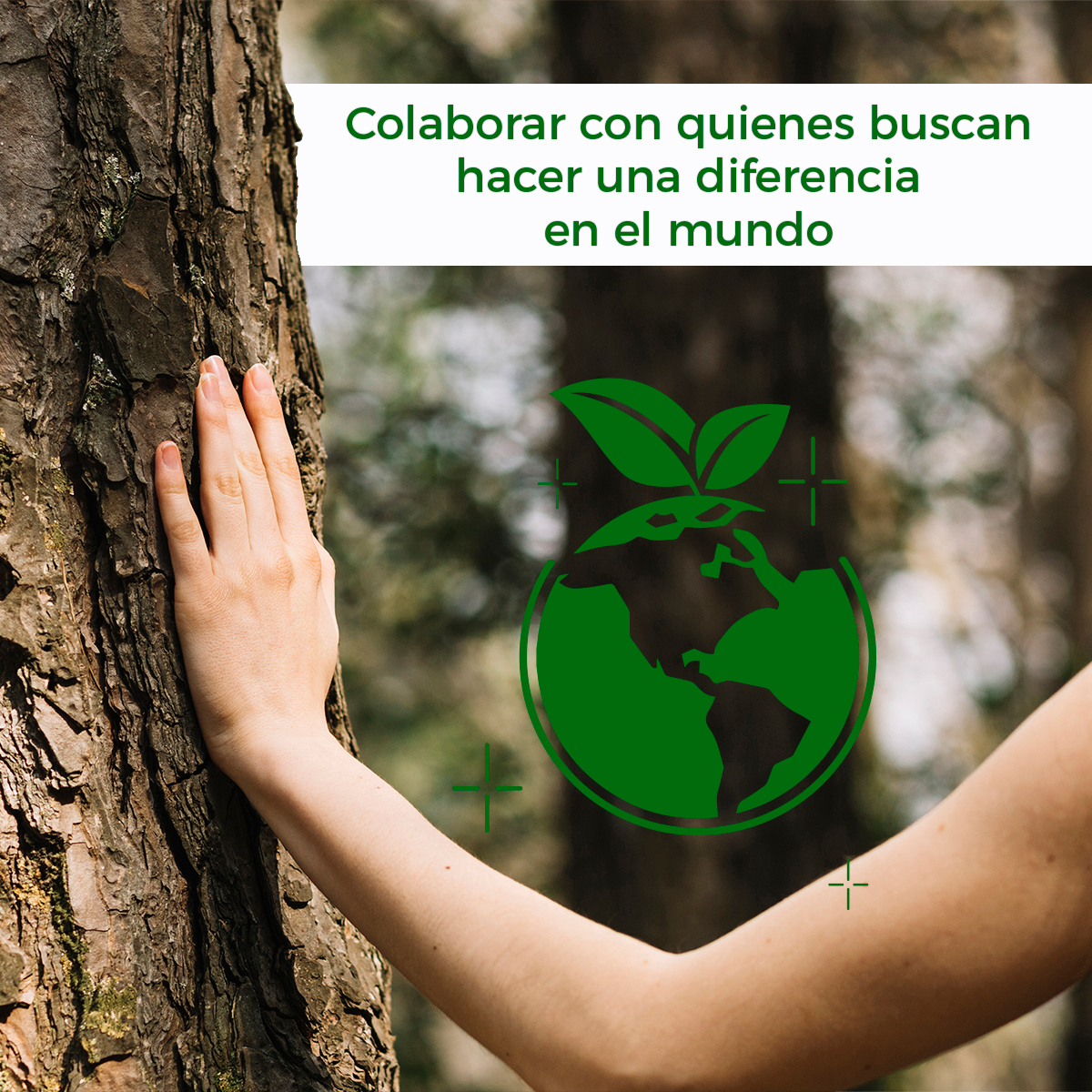 responsabilidad social